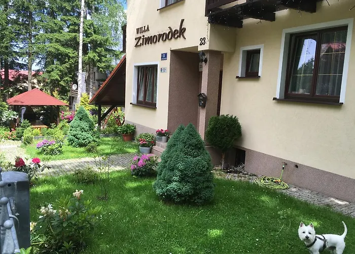 Zimorodek Poczuj Z Nami Magie Karpacza