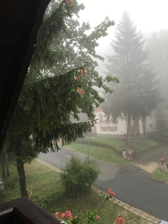 Zimorodek Poczuj Z Nami Magie Karpacza Spacerujac Do Centrum Widok Na Sniezke Guest house Karpacz
