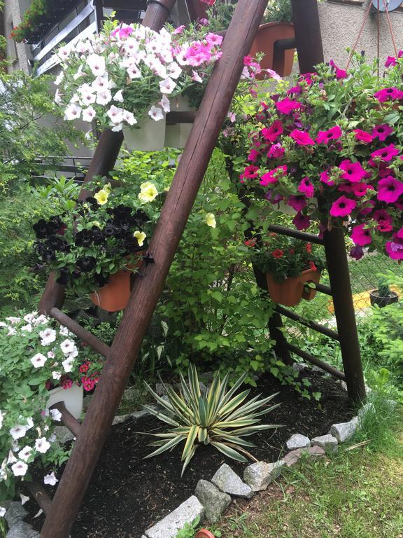 Guest house Zimorodek Poczuj Z Nami Magie Karpacza Spacerujac Do Centrum Widok Na Sniezke