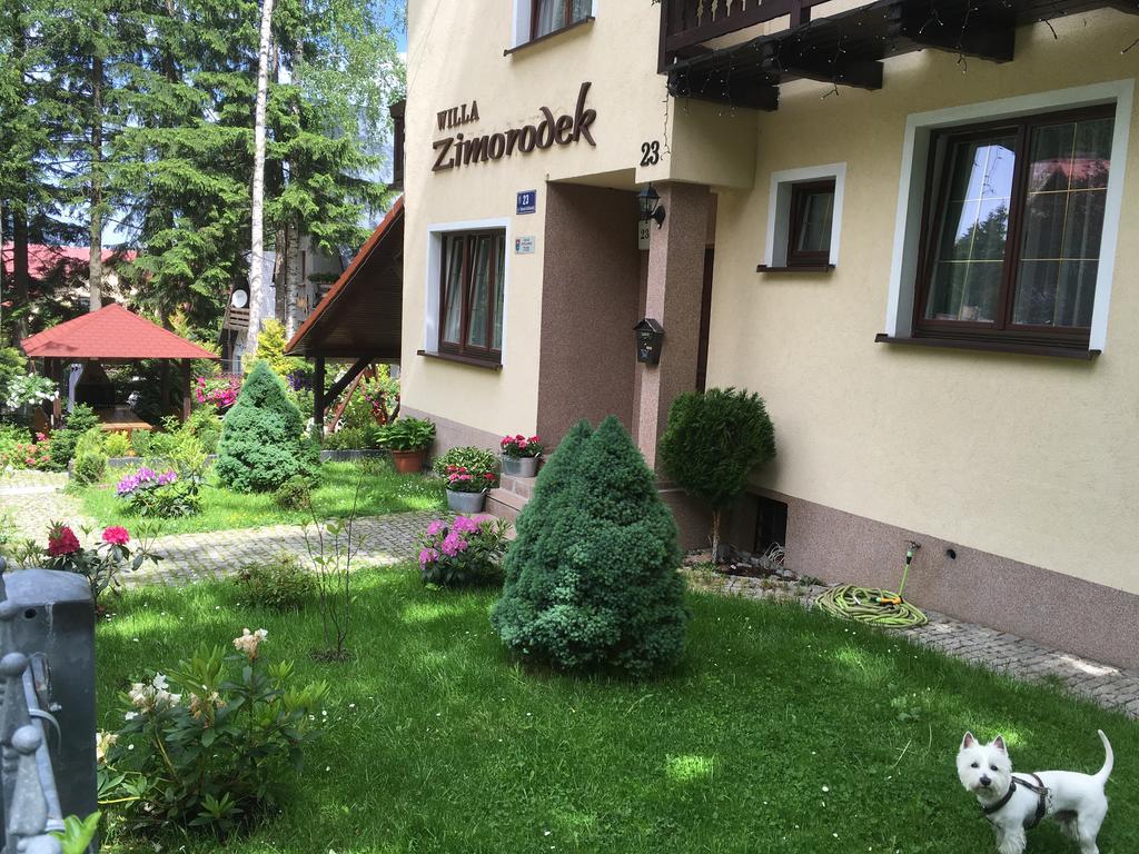 Zimorodek Poczuj Z Nami Magie Karpacza Spacerujac Do Centrum Widok Na Sniezke