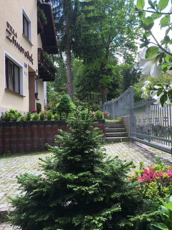 Zimorodek Poczuj Z Nami Magie Karpacza Spacerujac Do Centrum Widok Na Sniezke