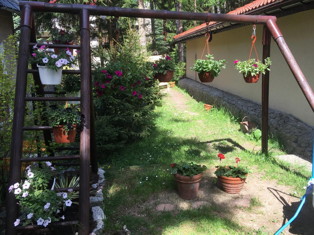 Guest house Zimorodek Poczuj Z Nami Magie Karpacza Spacerujac Do Centrum Widok Na Sniezke