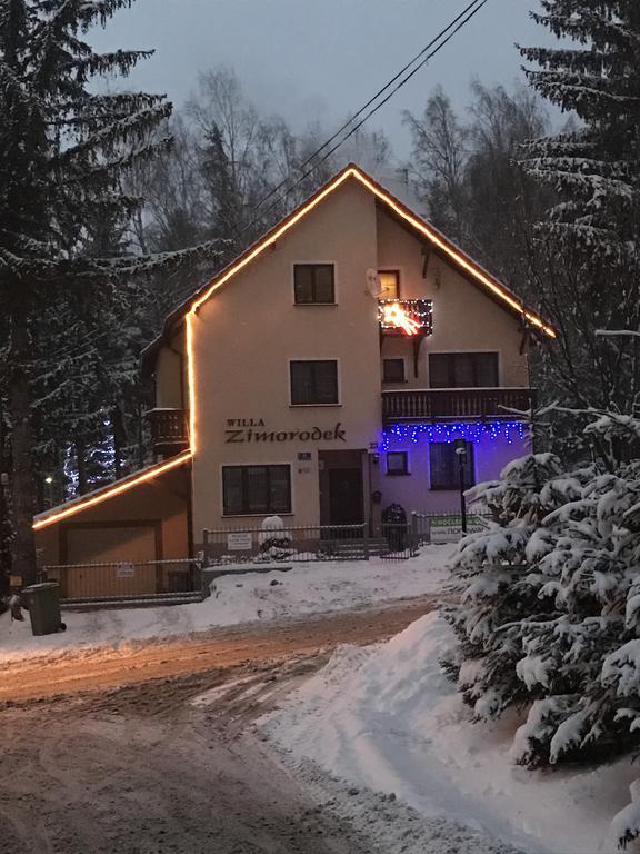 Zimorodek Poczuj Z Nami Magie Karpacza Spacerujac Do Centrum Widok Na Sniezke Guest house