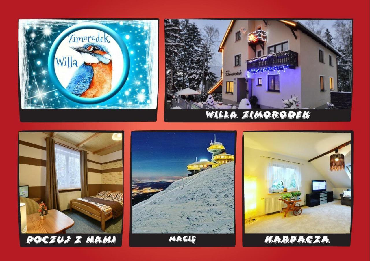 Zimorodek Poczuj Z Nami Magie Karpacza Gjestgiverier